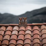 eaaa1ddb-c96d-4489-89e2-fb7c7742ad84